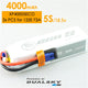 XP40005ECO XP40005ECO