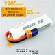2Piece XP22002ECO 2Piece XP22002ECO