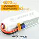 XP40006ECO XP40006ECO