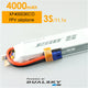 XP40003ECO XP40003ECO