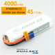 XP40004ECO XP40004ECO